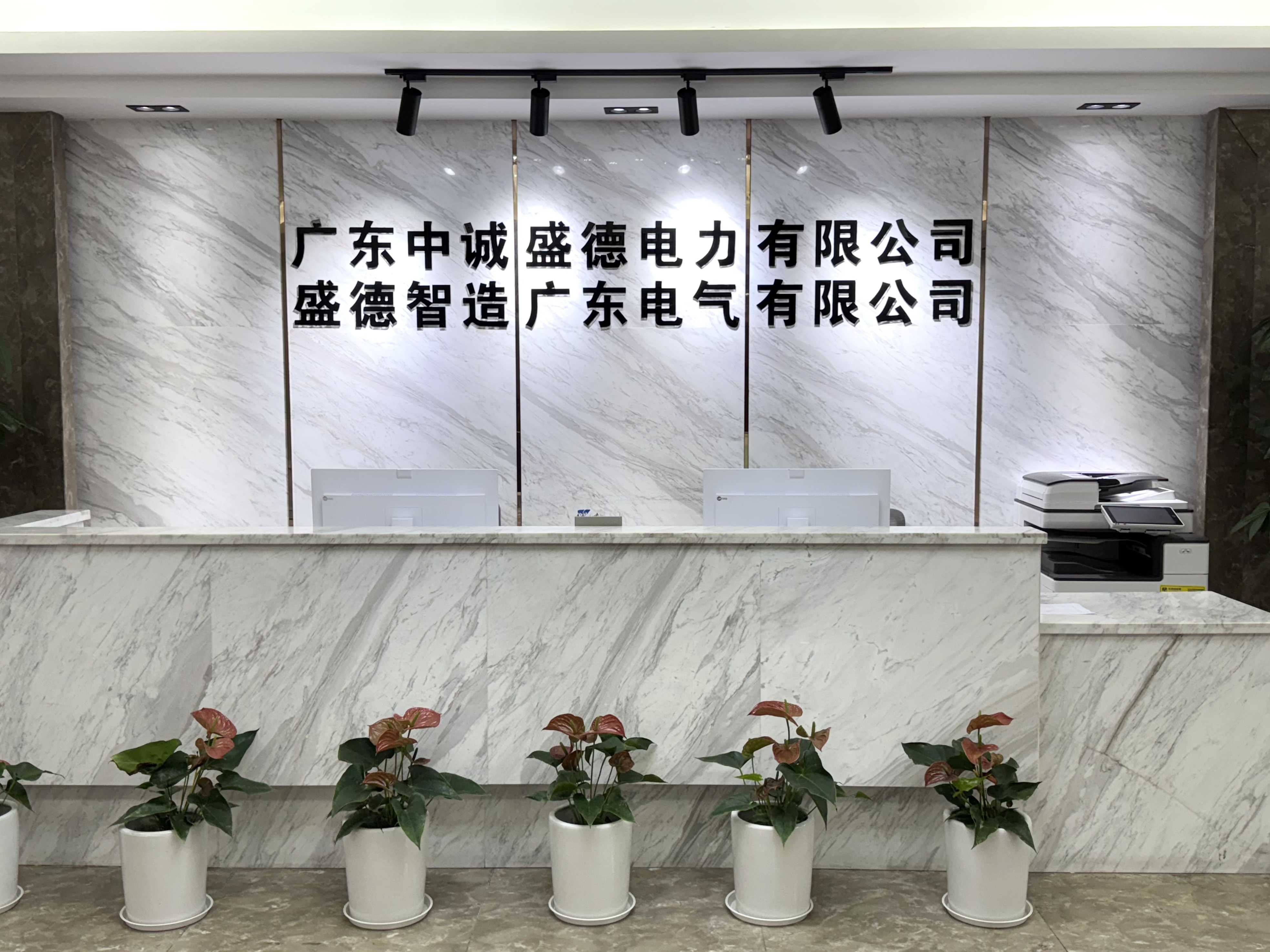 广东中诚盛德电力有限公司